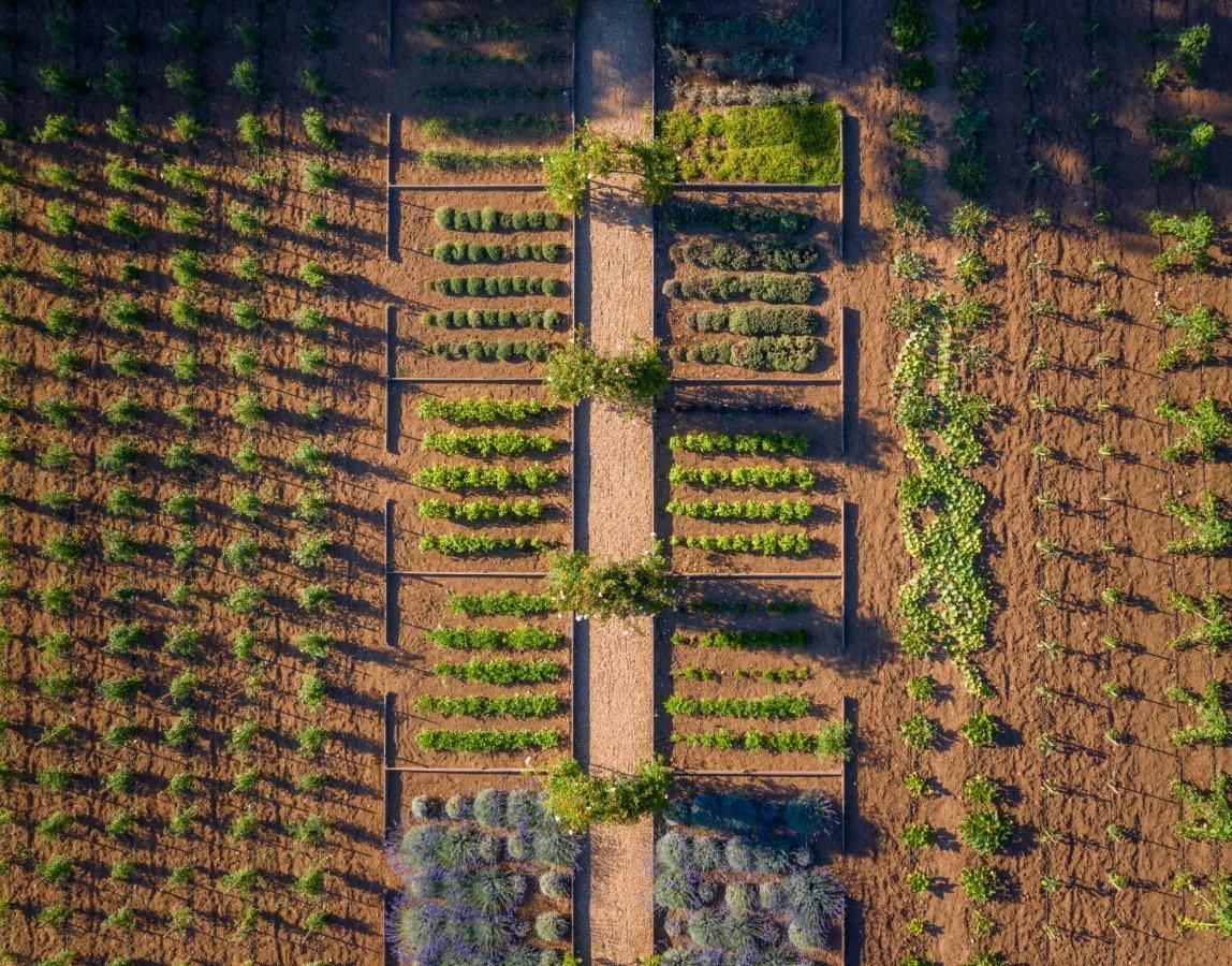 Chateau De Valmer La Croix-Valmer Zewnętrze zdjęcie